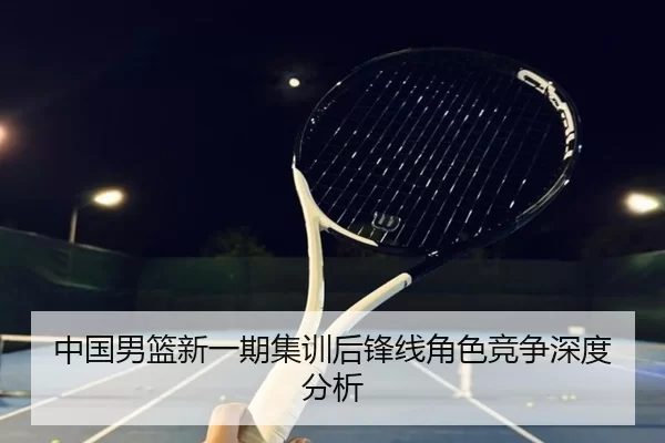 中国男篮新一期集训后锋线角色竞争深度分析